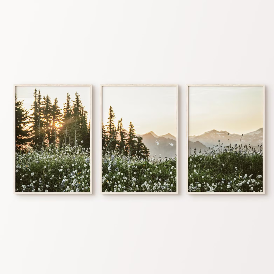Setx3 Cuadros decorativos paisajes naturales, juego de fotografías de naturaleza verde