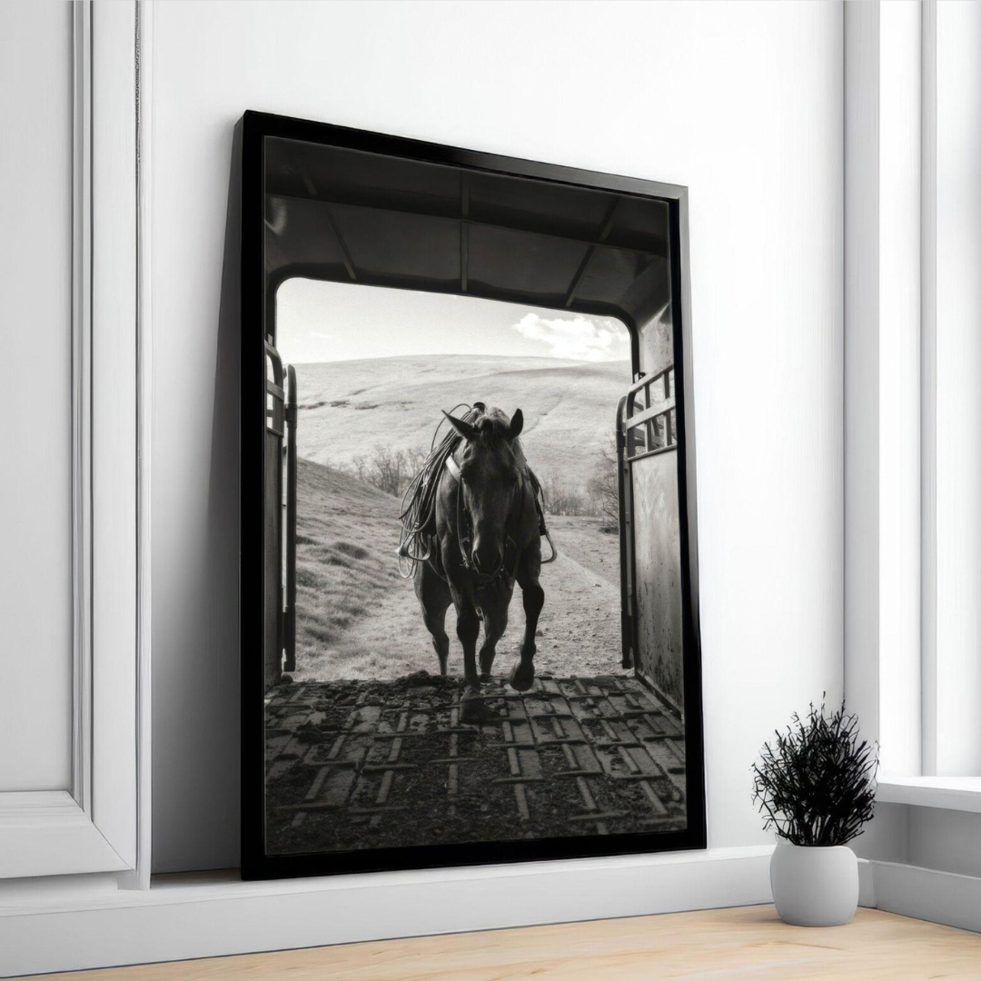 Cuadro Decorativo Póster de caballo de dinero antiguo