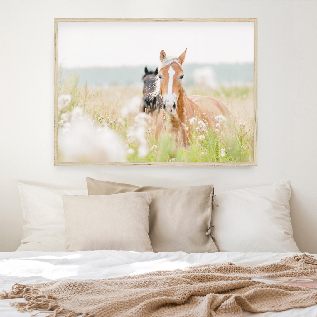 Cuadro Decorativo caballos de la decoración, fotografía del caballo