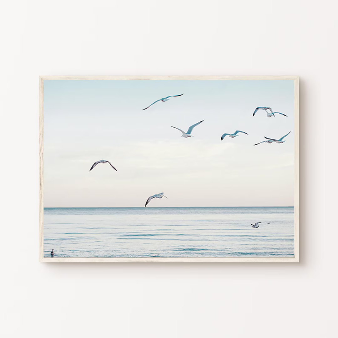 Cuadro Decorativo aves en la playa tranquila