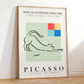 Cuadro Decorativo Abstracto Picasso Gato