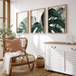 Set x3 Cuadros Decorativos Arte mural de Monstera