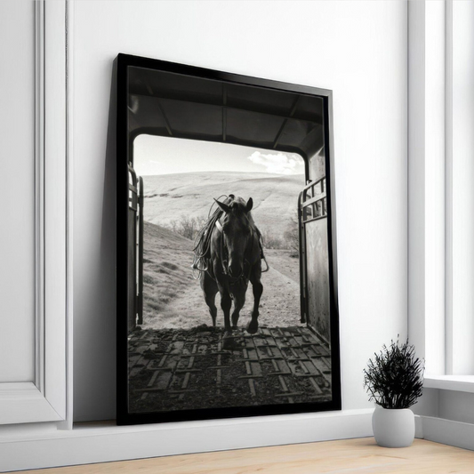 Cuadro Decorativo Póster de caballo de dinero antiguo