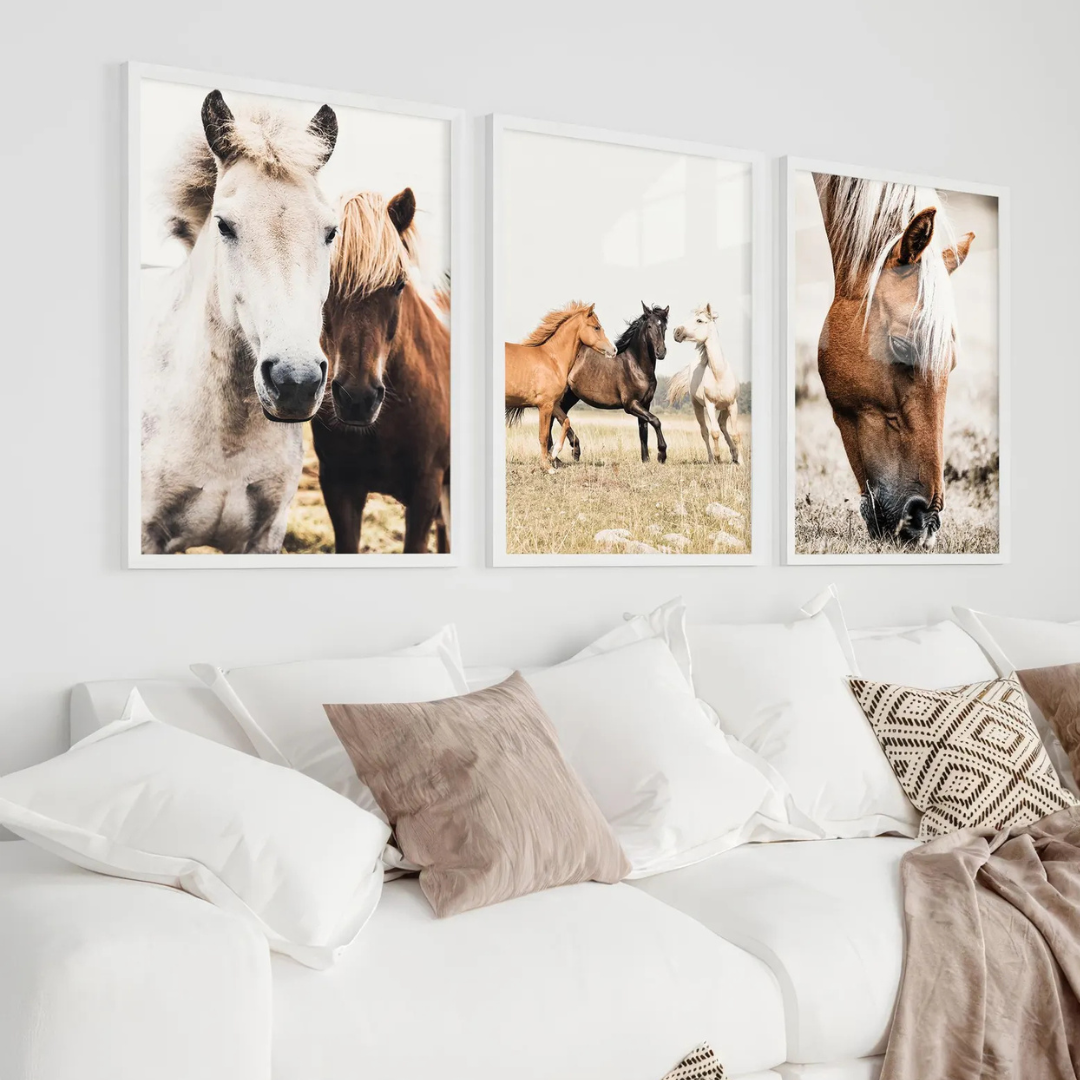 Set x3 Cuadros Decorativos Granja Caballos