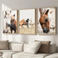 Set x3 Cuadros Decorativos Granja Caballos