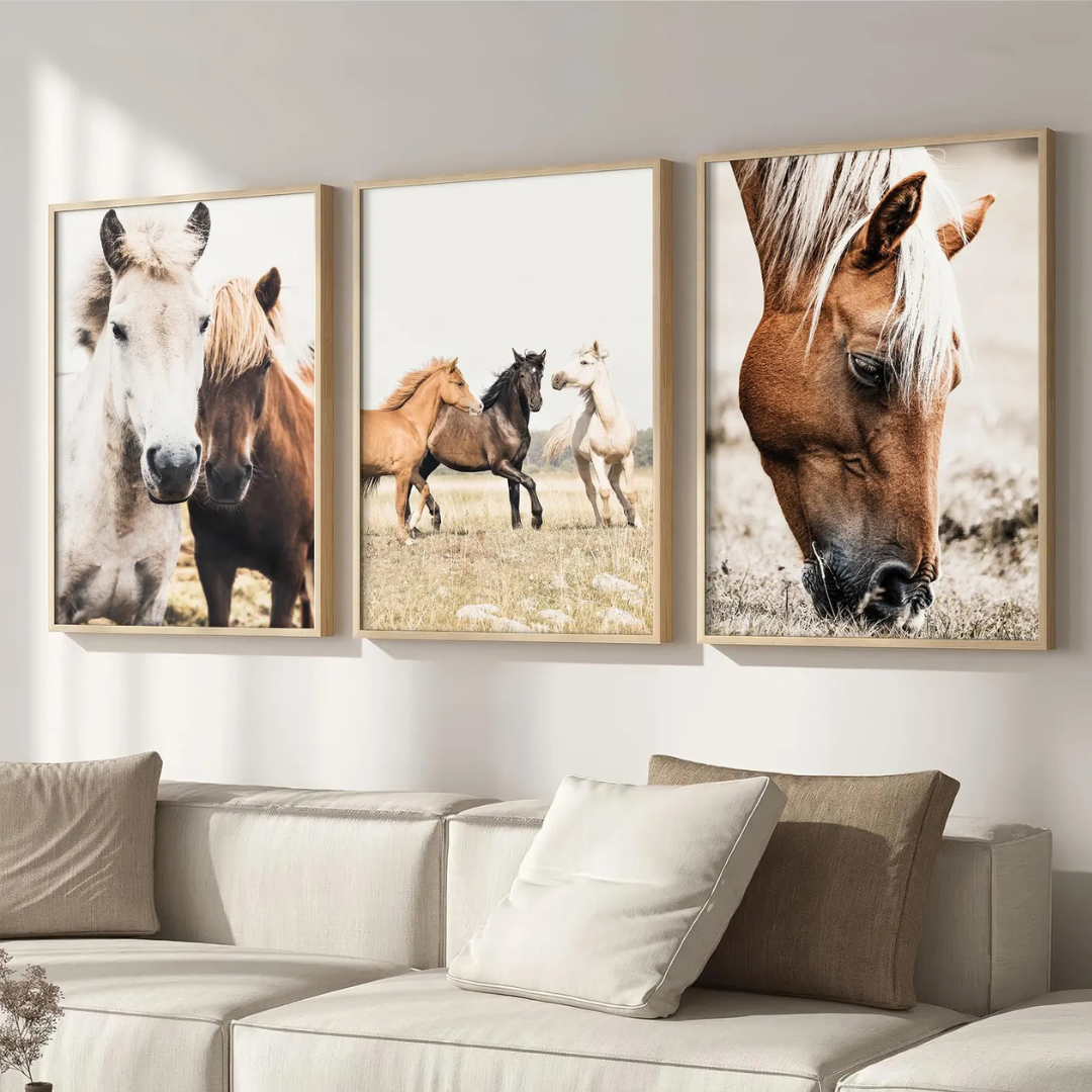 Set x3 Cuadros Decorativos Granja Caballos