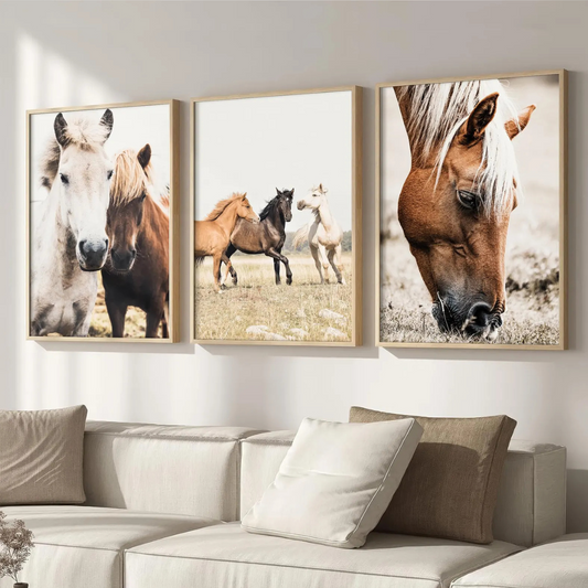 Set x3 Cuadros Decorativos Granja Caballos