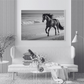 Cuadro Decorativo Caballo negro corriendo en la playa