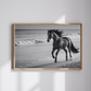 Cuadro Decorativo Caballo negro corriendo en la playa