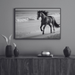 Cuadro Decorativo Caballo negro corriendo en la playa