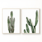 Set x2 Cuadros Decorativos Botánico Cactus Realista