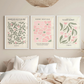 Set x3 Cuadros Decorativos Botánicos Hojas Verdes Flores Rosas Con Fondo Blanco