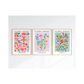 Set x3 Cuadros Diseños Botánico Flores Coloridas