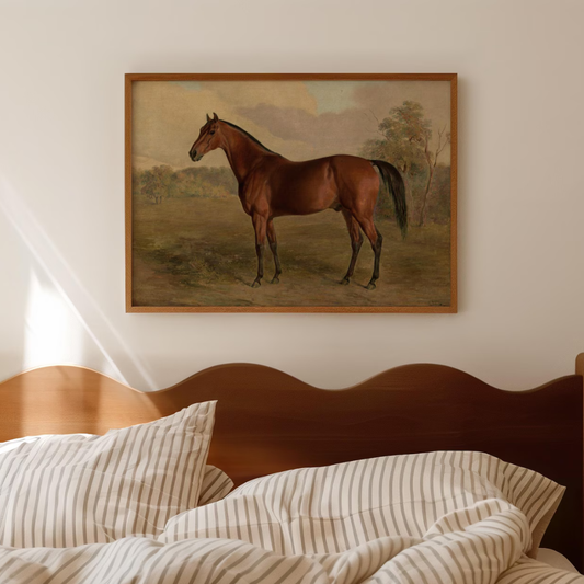 Cuadro Decorativo Caballo estilo rústico