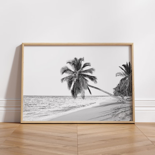 Cuadro Decorativo  palmera, póster de playa
