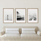 Set x3 Cuadros Decorativos , Surf, Blanco y Negro - Tree House Deco